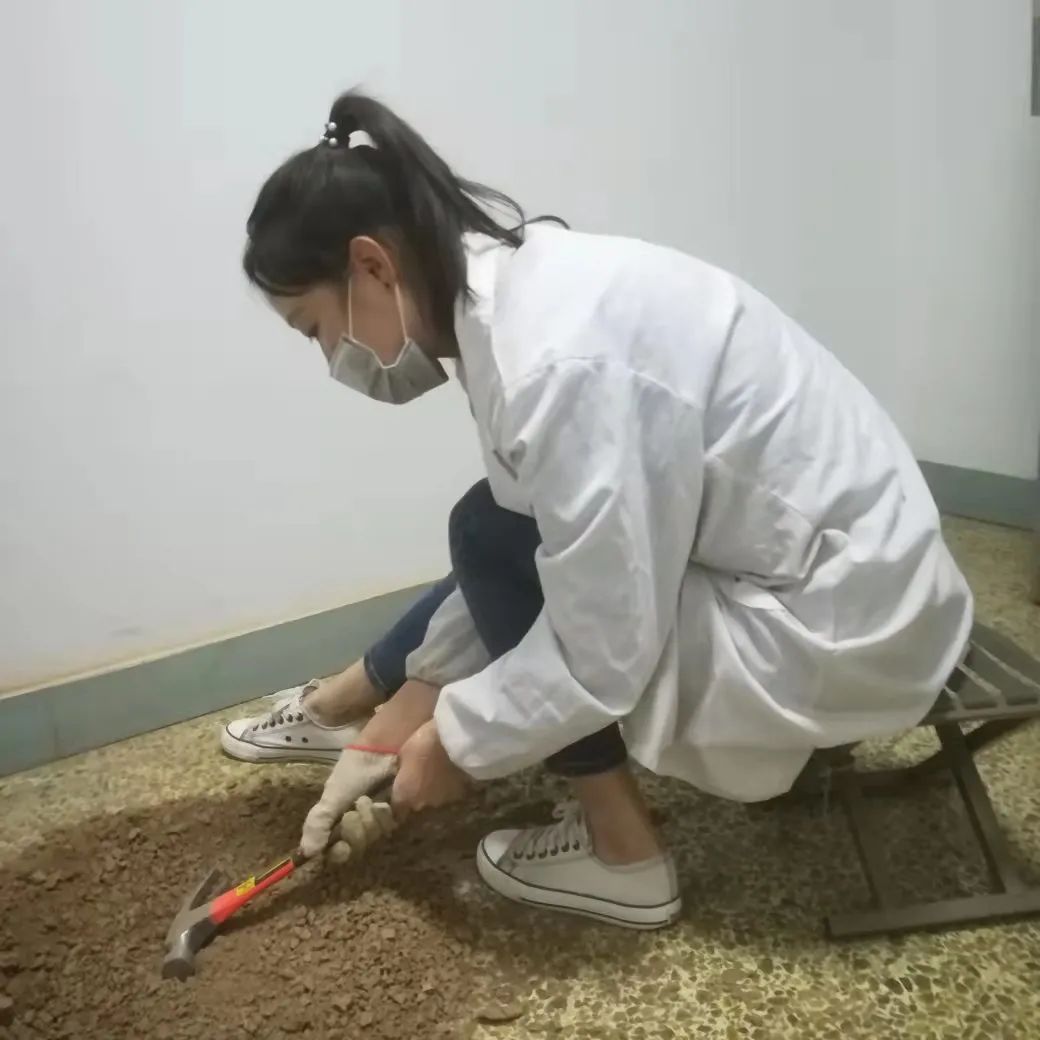 2540a927b8b74fc4978e45c355b256a2.jpg
